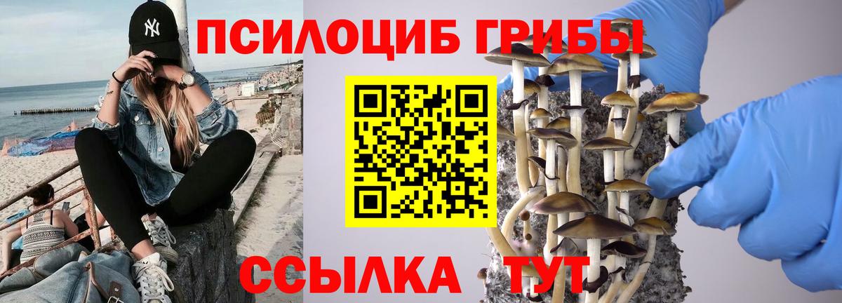 Галлюциногенные грибы Magic Shrooms Бузулук